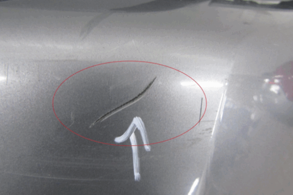 Bumper Citroen C3 IV 24- Voorbumper MZ1892