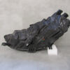 Koplamp Audi A4 B9 FACELIFT 8W0 LED 19- 8W0941012 RECHTS A464/B166
