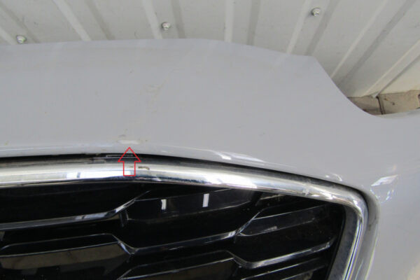 Bumper Ford Puma Mk2 II Titanium 19- L1TB-17757 Voorbumper KS7492