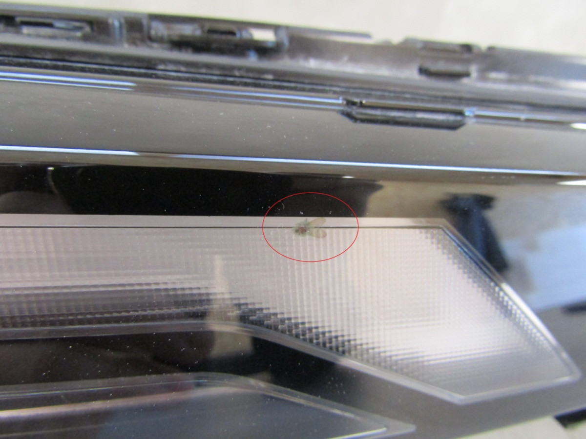 Koplamp BMW X7 G07 Facelift LED DRL 22- RH 9880594 Q789/E47